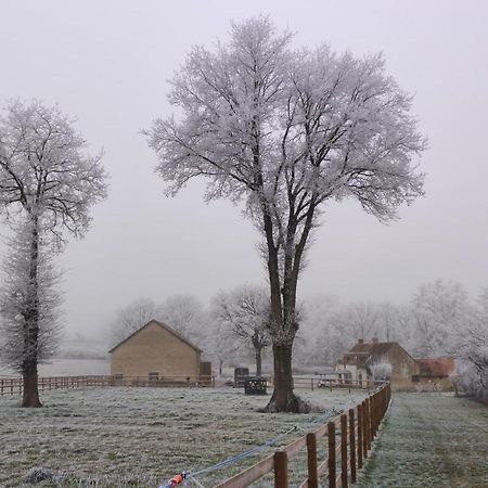 Bienvenue A La Grenouillere Villa Le Magny  Buitenkant foto