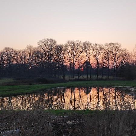 Bienvenue A La Grenouillere Villa Le Magny  Buitenkant foto