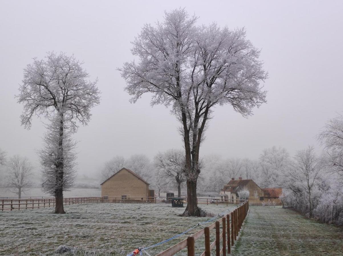 Bienvenue A La Grenouillere Villa Le Magny  Buitenkant foto