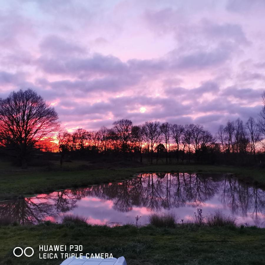 Bienvenue A La Grenouillere Villa Le Magny  Buitenkant foto